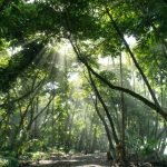 National Geographic presentó un reportaje sobre El Camino de Costa Rica